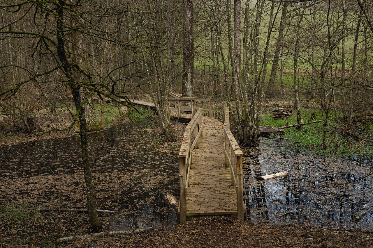 Leave No Trace on the Moor: Practical Habits That Actually Matter